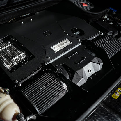 Mercedes AMG GLE63(S) (293) M177 LS2 V8 BiTurbo Cold Air Intake System